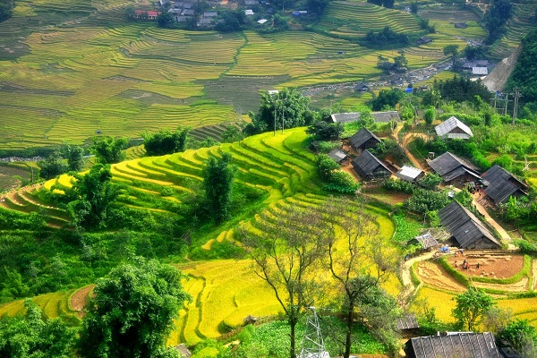 du lịch Sapa